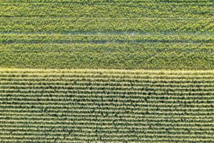 Drones green transition aerial green landscape