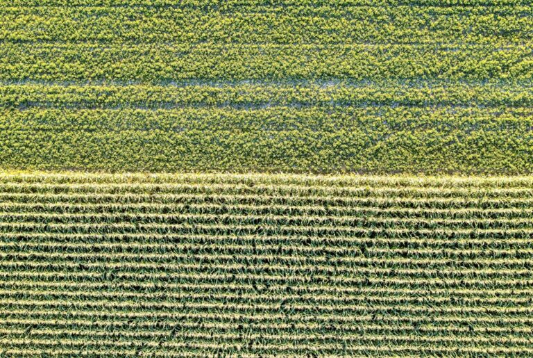 Drones green transition aerial green landscape